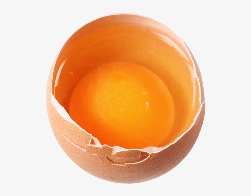 Egg, transparent png download