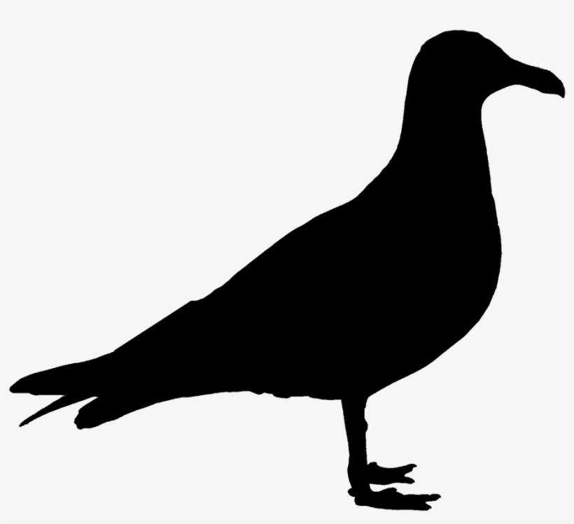 Seagull Bird Silhouette - Silueta De Gaviota, transparent png download