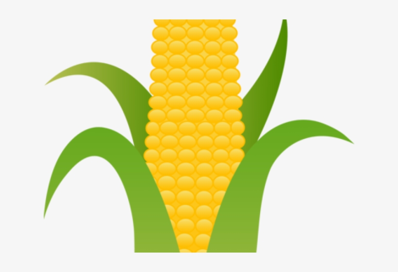 Corn Png Transparent Images - Transparent Background Corn Clipart, transparent png download