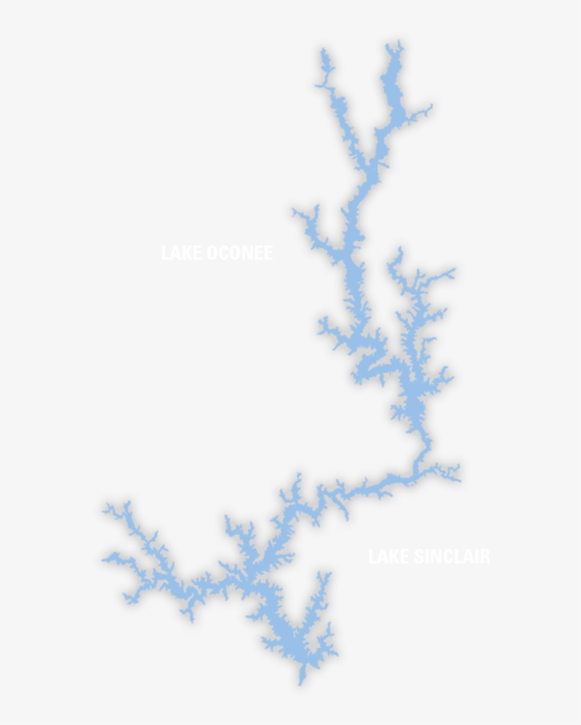 Information - Motif, transparent png download