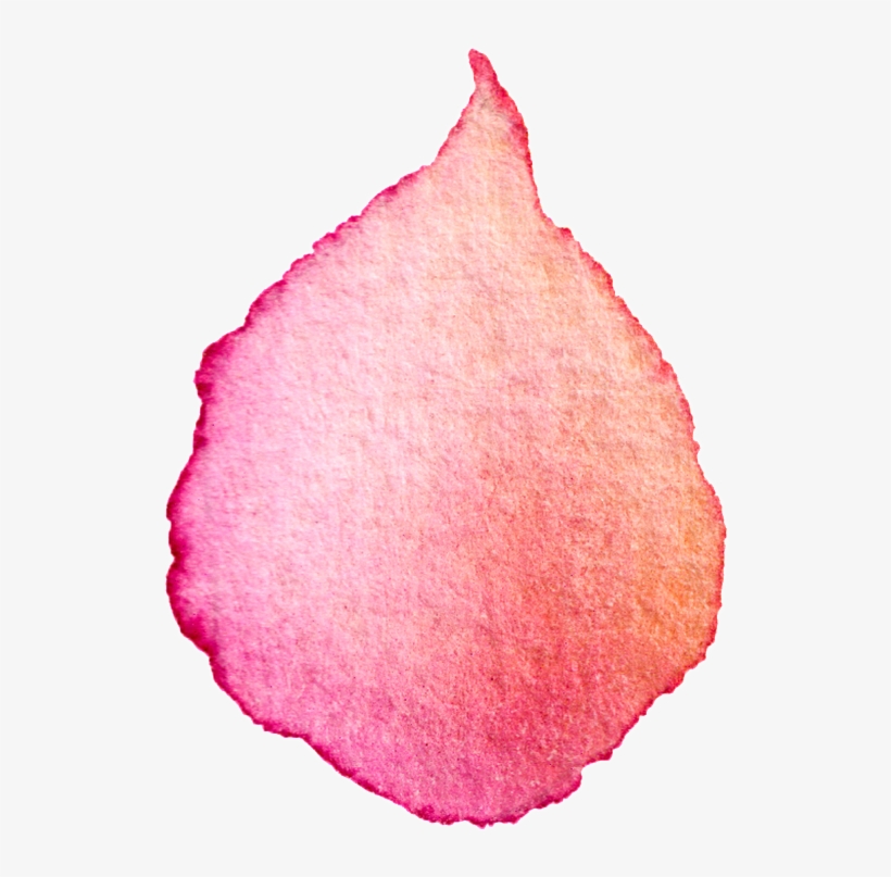 Delicate Flower Petals Transparent Decorative - Petal, transparent png download