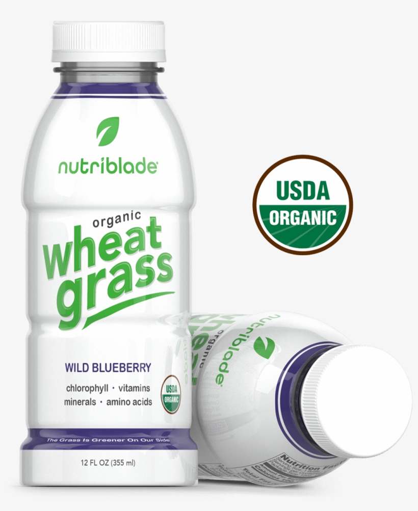 Wild-blueberry - Nutriblade Organic Wheat Grass Shots, transparent png download