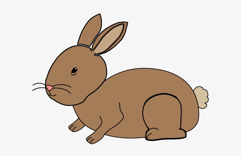 The Rabbit Will Also Tell You How Hungry Is Depending - Rabbit, transparent png download