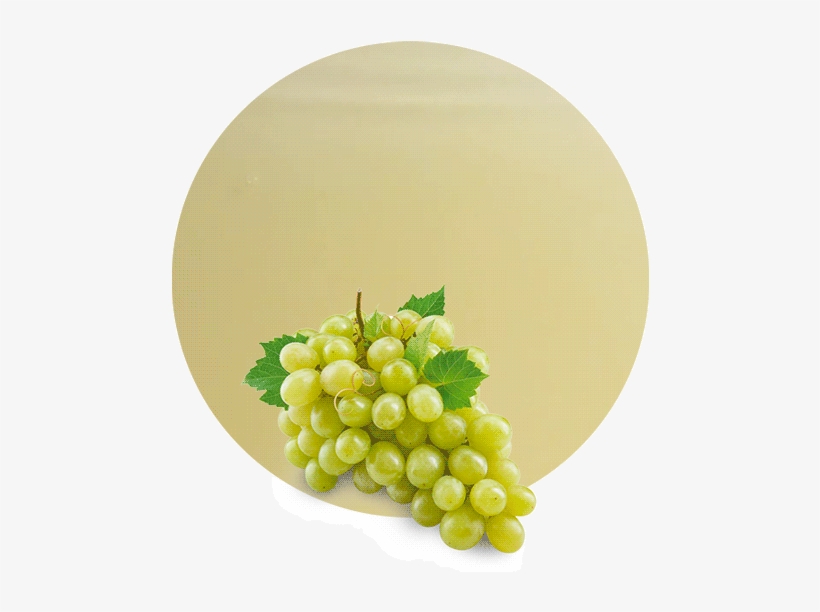 White Grape Concentrate - Grape, transparent png download