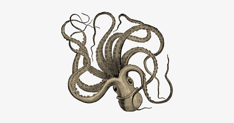 Go Back > Gallery For Octopus Png Clipart - Old Octopus Print, transparent png download