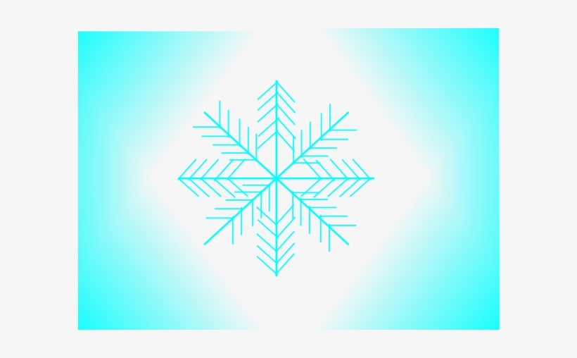 Spider Web Vector, transparent png download