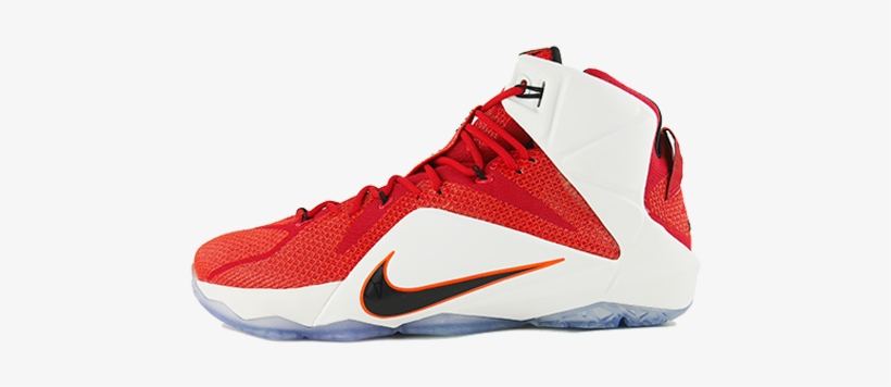 lebron website shoes