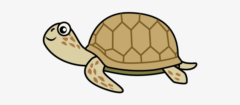For Download Free Image - Sea Turtle, transparent png download