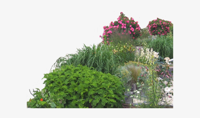 Garden Png High-quality Image - Summer Paradise, transparent png download