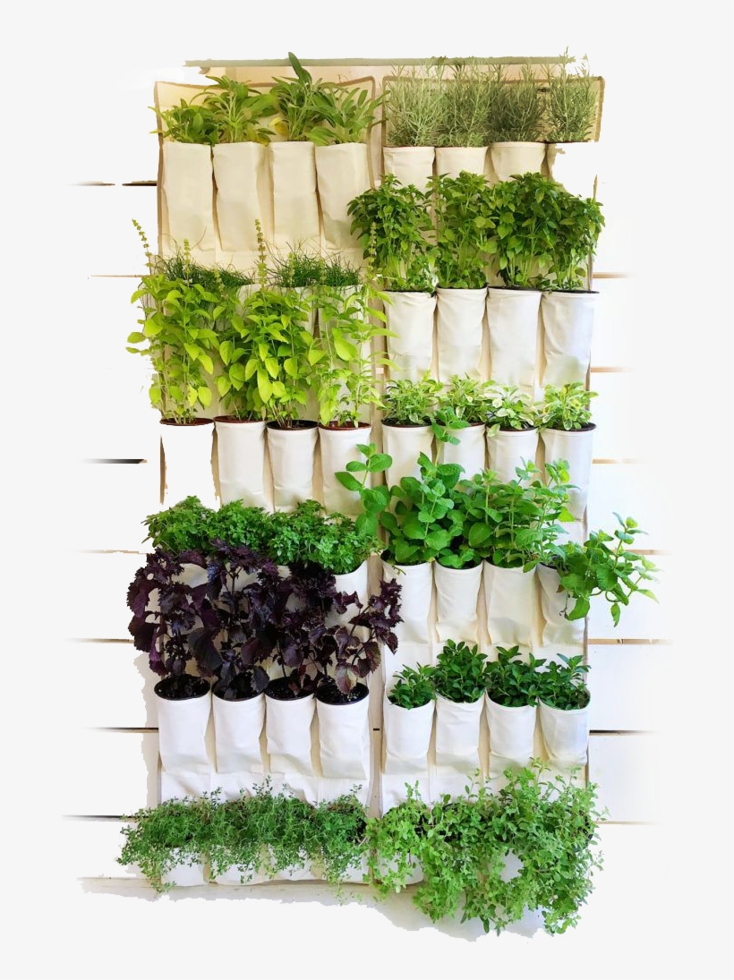 Shoe Organizer Herb Garden Herb Vertical Garden PNG Image