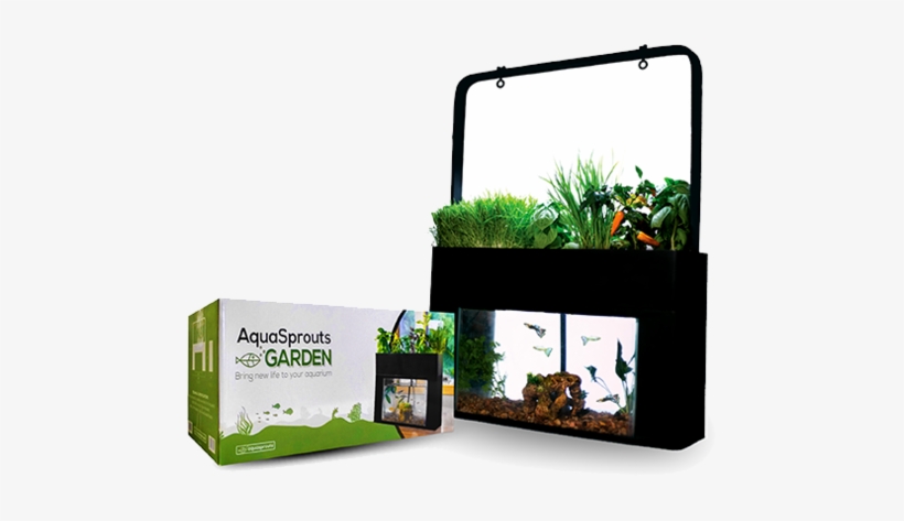 Aquasprouts Garden, transparent png download