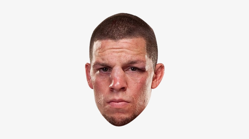 This Was Used If Anyone Wants It - Conor Mcgregor Head Png, transparent png download