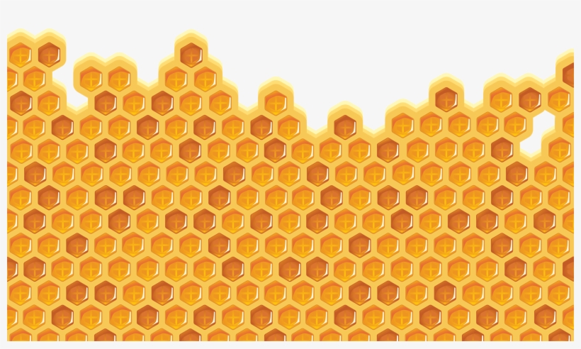 Bees🐝bears🐝honey - Bee, transparent png download