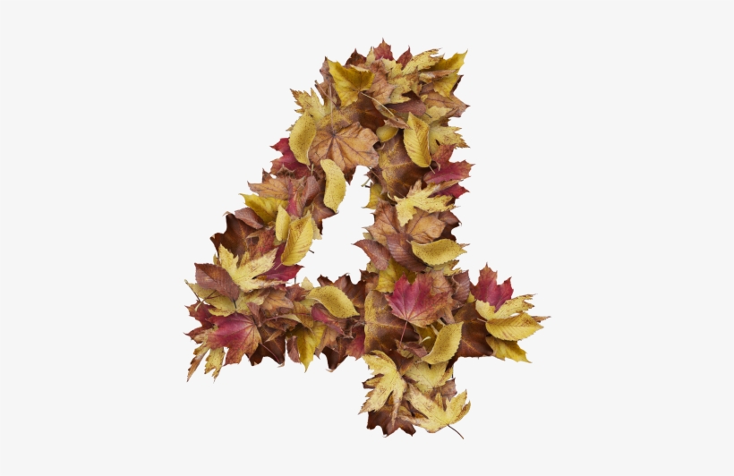4 Number With Dry Leaves - Silver Maple, transparent png download