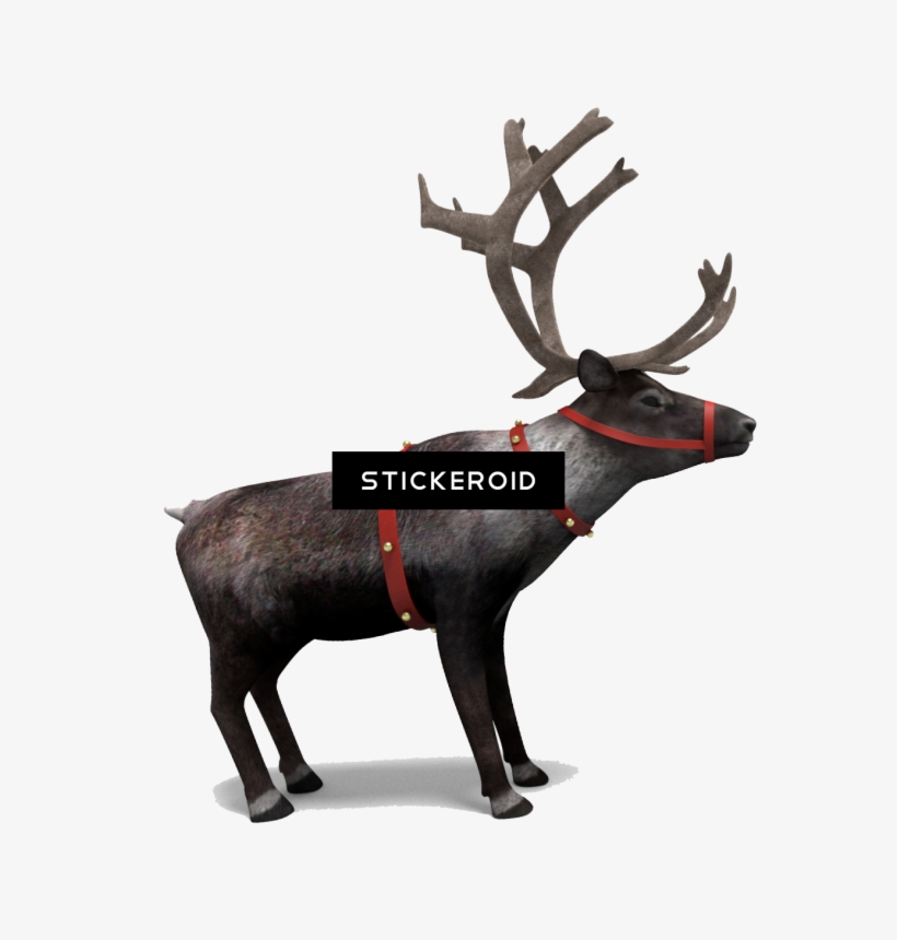 صورة Reindeer Png الرنة - Portable Network Graphics, transparent png download