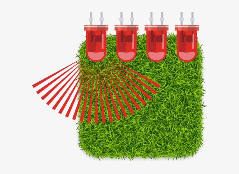 Phoenix Grass Lighting - Phoenix, transparent png download