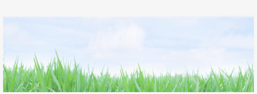 Disposing Of Lawn Clippings - Lawn Mower, transparent png download