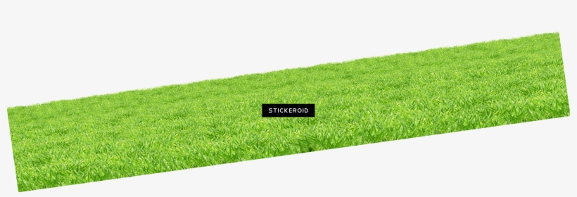 Grass Green Grass - Lawn, transparent png download