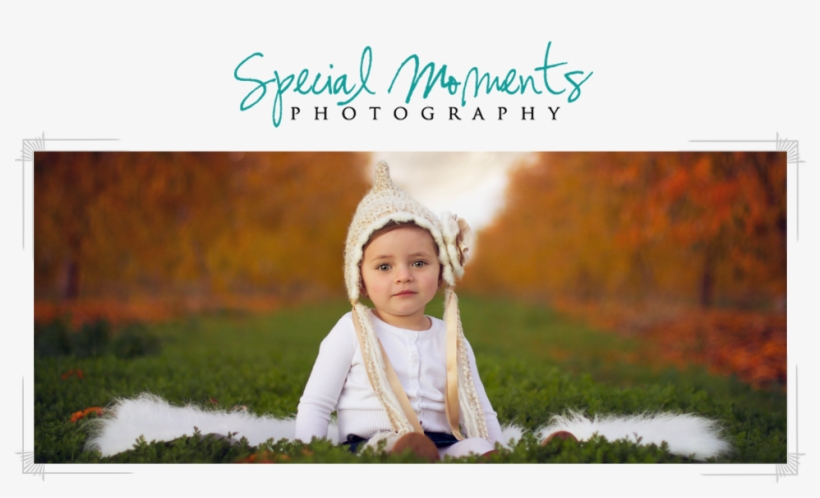 Special Moments Photography, transparent png download