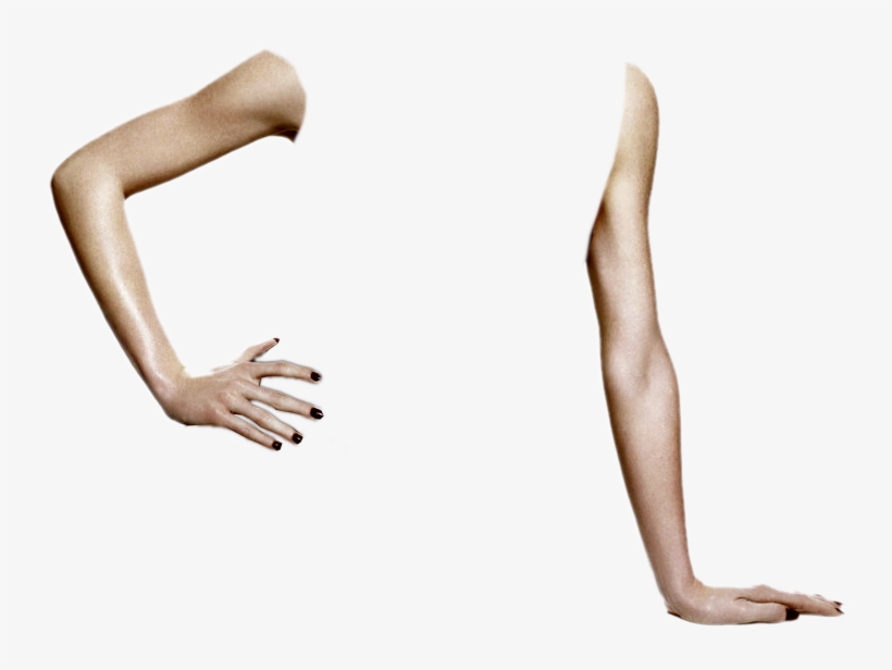 Doll Arms 5 - Arms Png, transparent png download