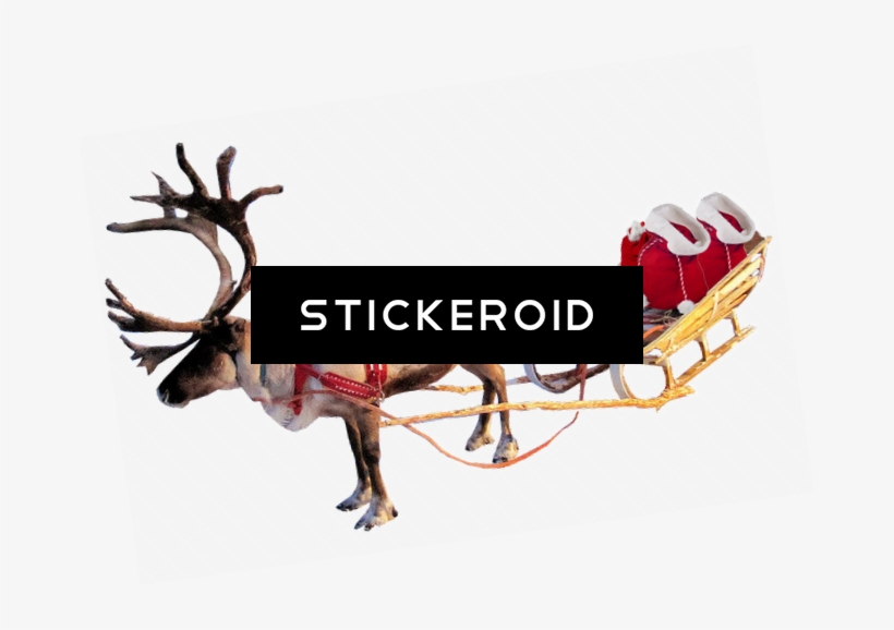 Santa Sleigh Holidays - Sleigh For Reindeer, transparent png download
