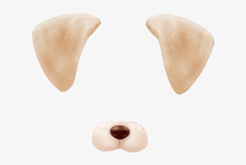 Report Abuse - Dog, transparent png download