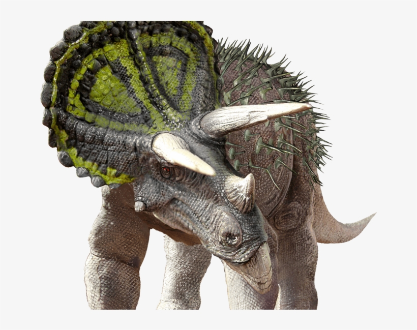 Free Png Dinosaur Photo Png Images Transparent - Dinosaur Revolution Sa Museum, transparent png download