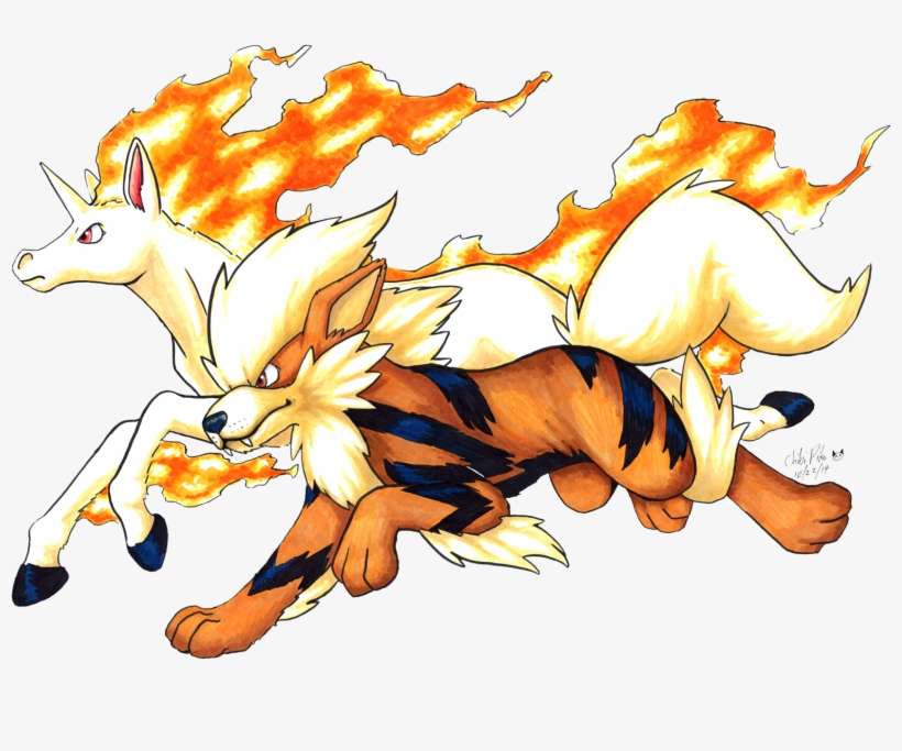 Art Id - - Pokemon Rapidash Vs Arcanine, transparent png download