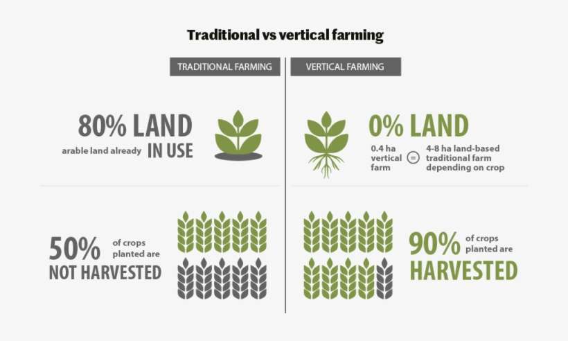 Association For Vertical Farming, - Association For Vertical Farming, transparent png download