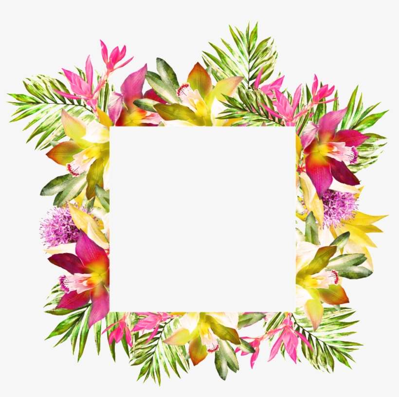 Plant Flowers, Green Leaves, Decorative Lace, Png Transparent - Flower, transparent png download