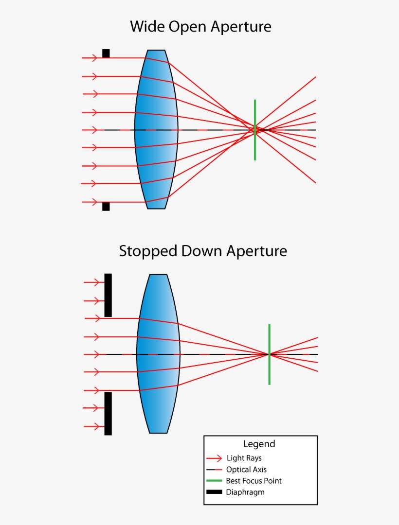 Focus Shift, transparent png download