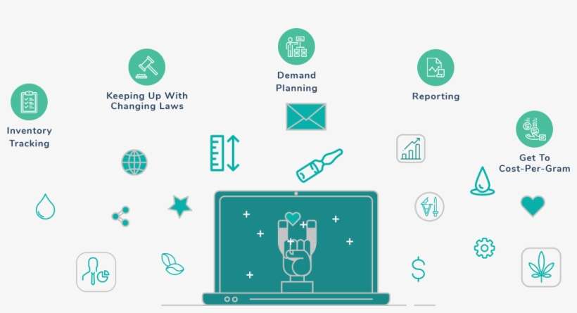 Seed To Sale Software For The Cannabis Industry - Cannabis Seed To Sale, transparent png download