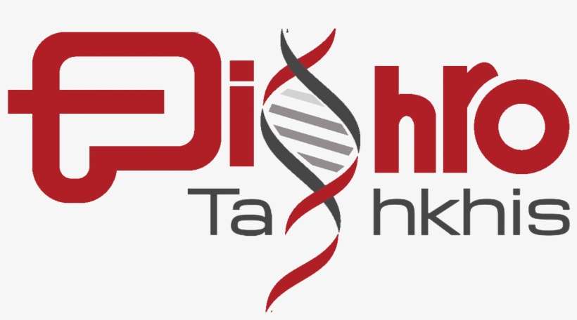 Website Renovation - Graphic Design, transparent png download