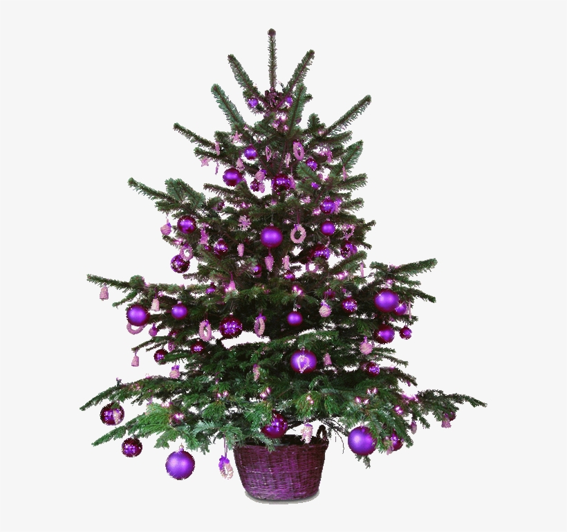 38 Cards In Collection "новогодняя Ёлка" Of User Savskina - Merry Christmas Small Tree With Red Decorations Card, transparent png download