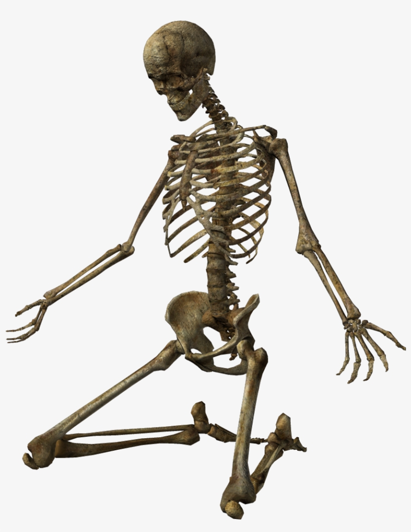 The Lack Of Conscripts In The Countdown To The Skeleton - Skeleton, transparent png download