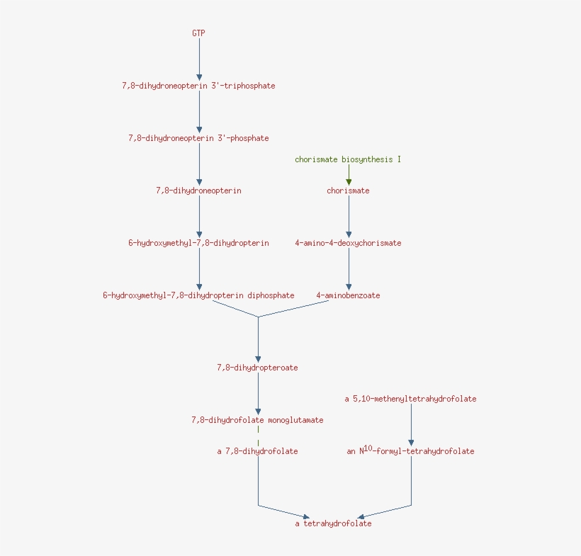 Pathway Diagram Superpathway Of Biosynthesis And Salvage - Number, transparent png download