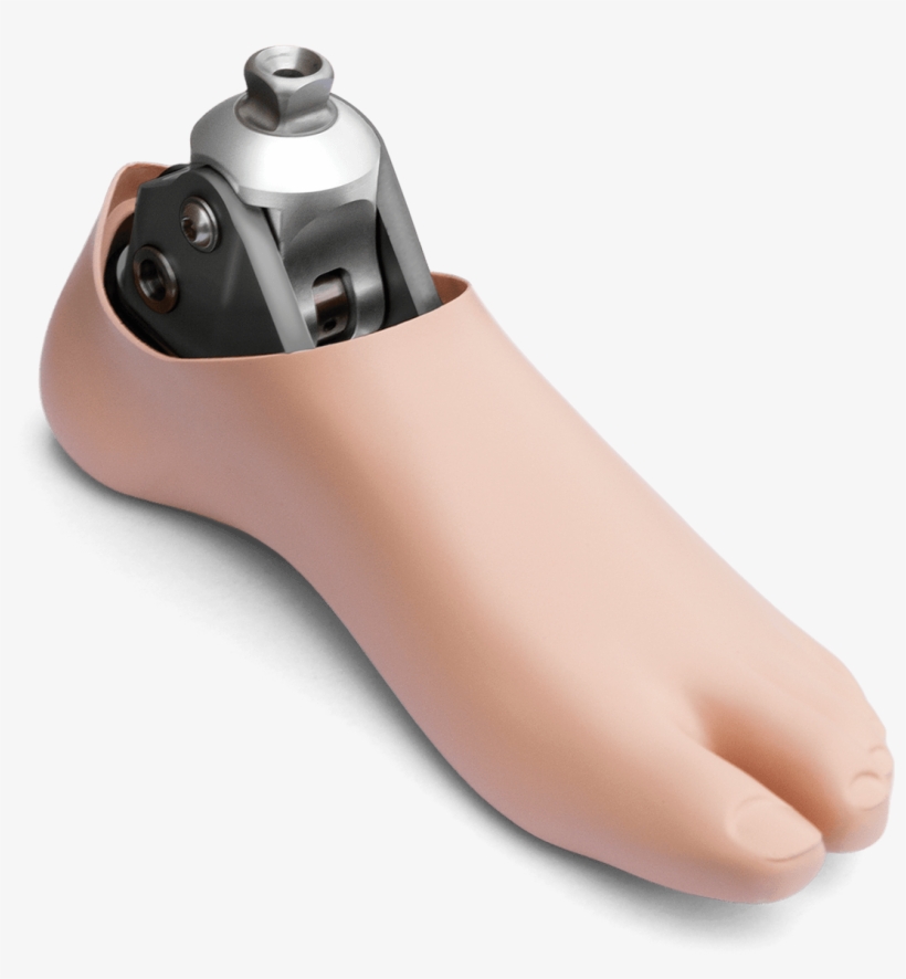 Accent-large - Proto-indo-european Accent, transparent png download