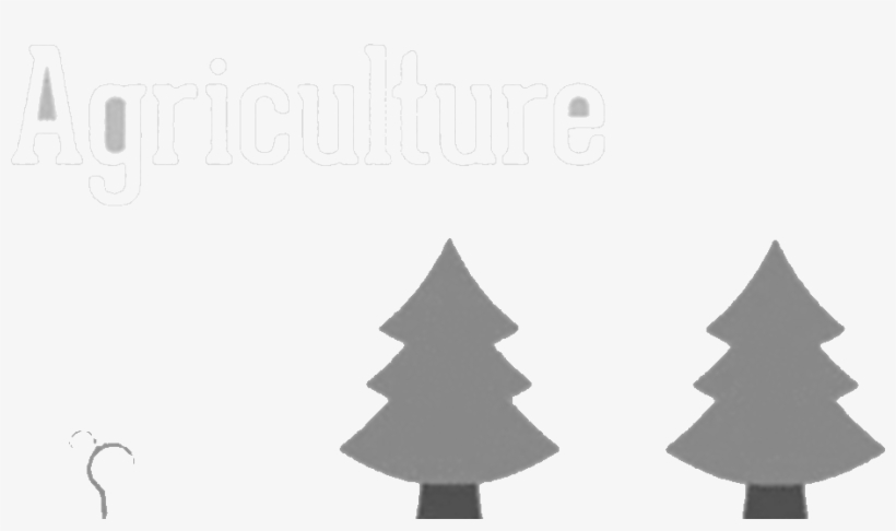 Causes Of Deforestation Image - Christmas Tree, transparent png download
