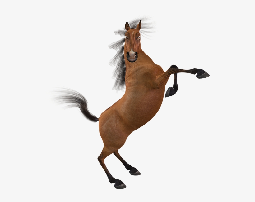 Funny Horse Png - Beware Of The Mare Stare, transparent png download