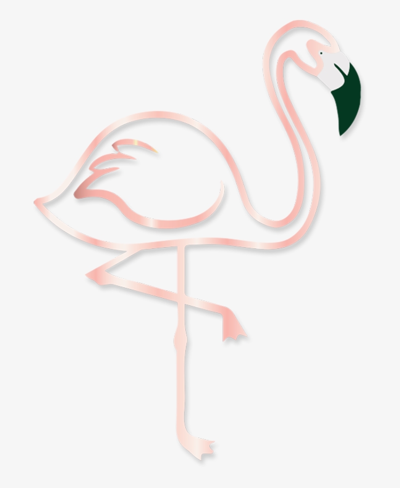 Twitter Facebook Snapchat Instagram Whatsapp - Greater Flamingo, transparent png download