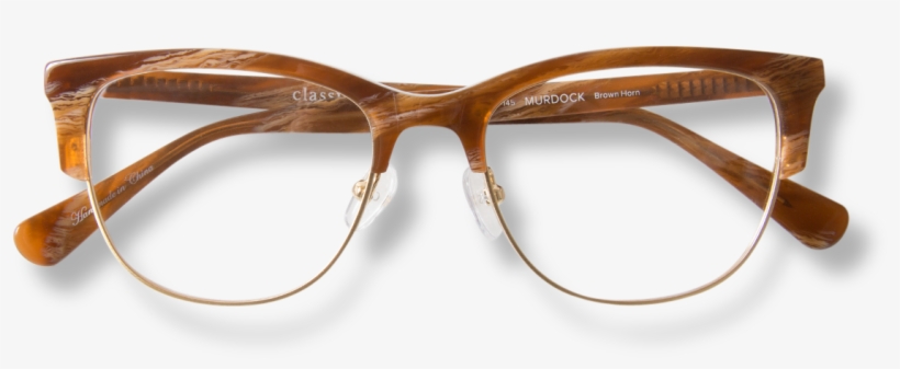 Banner Free Stock Classic Specs Timeless Eyeglasses - Brown & Horn, transparent png download