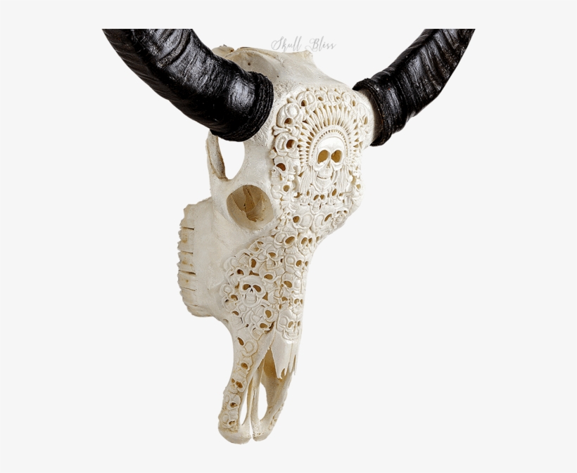 Carved Buffalo Skull - Skull, transparent png download