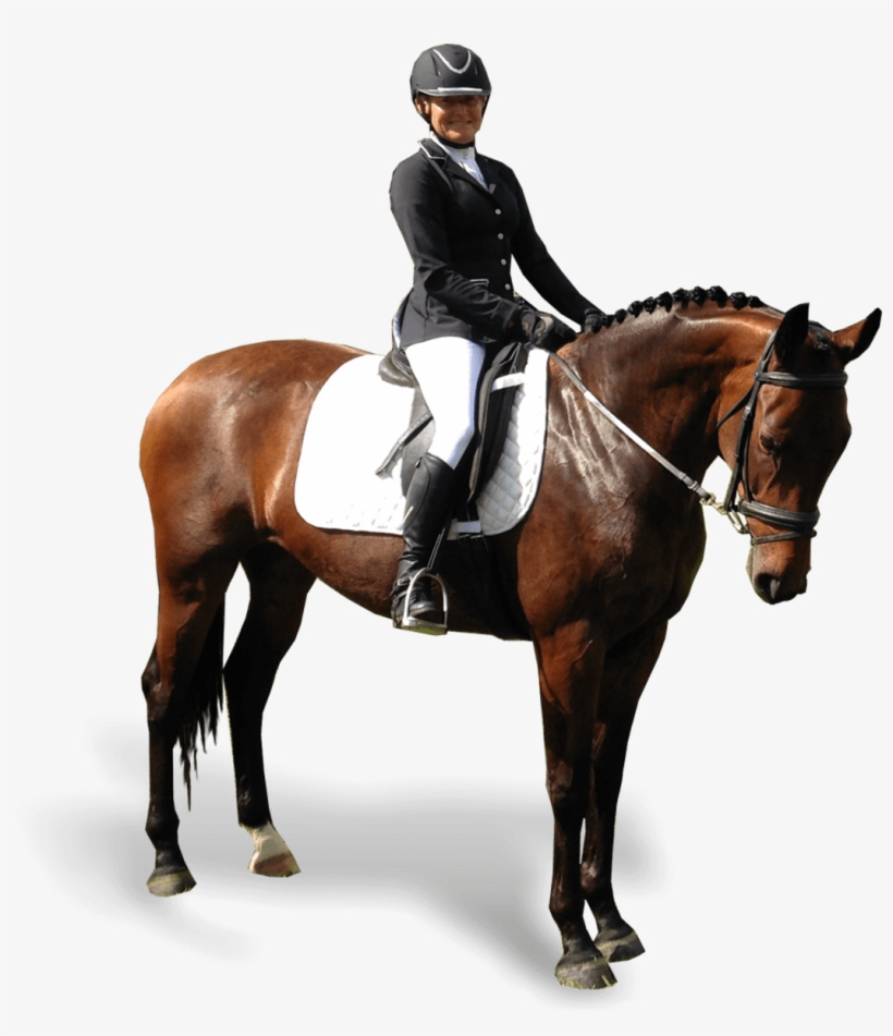 My Story - Equestrianism, transparent png download