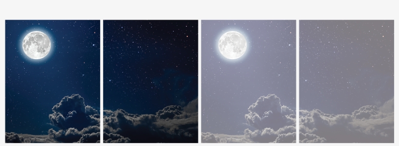 Cover Options - Wilderness - Earth, transparent png download