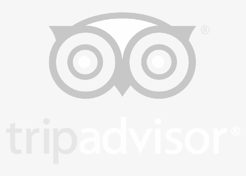Certificate Of Excellence - Trip Advisor, transparent png download