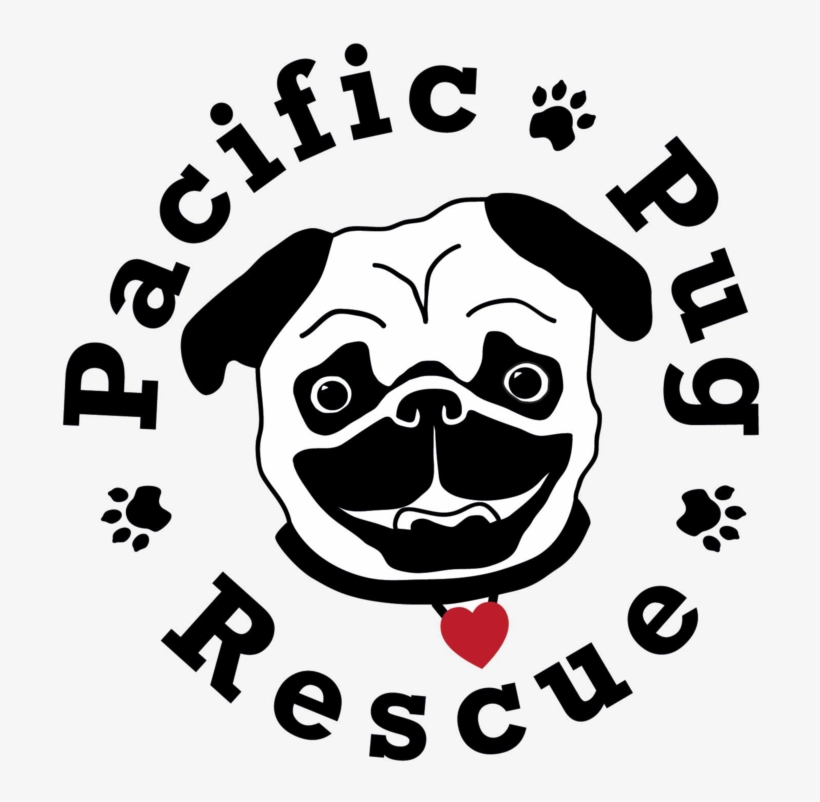 Graphic Royalty Free Stock Pacific Rescue Sold Out - Pacific Pug Rescue, transparent png download