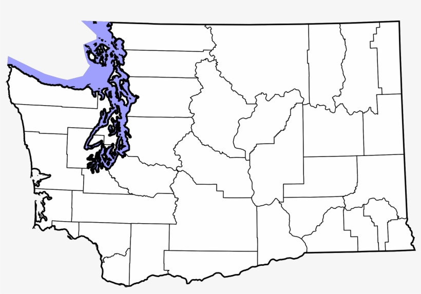 Open - Blank County Map Of Washington State, transparent png download
