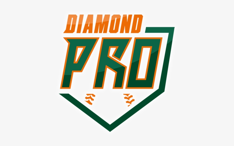 Diamond Pro Camps & Clinics - Indian National Flag Flying, transparent png download