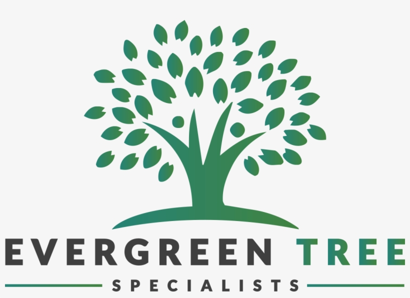 Vector Graphics, transparent png download