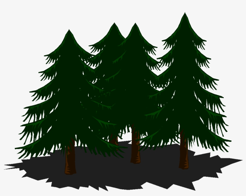 Pine-trees - Trees, transparent png download